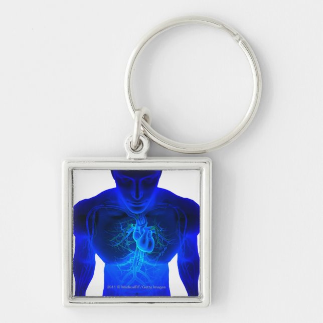 View from above of the layout of blood vessels key ring (Front)