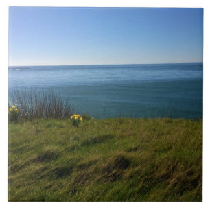 View from Cape Disappointment Lighthouse, WA Tile