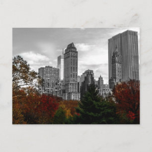 View from Central Park in New York City Postcard