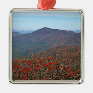 View from Craggy Dome Mountain Metal Tree Decoration
