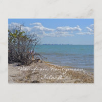 View from Honeymoon Island