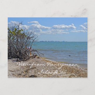 View from Honeymoon Island Postcard