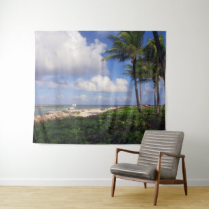 View from Jupiter Inlet Tapestry