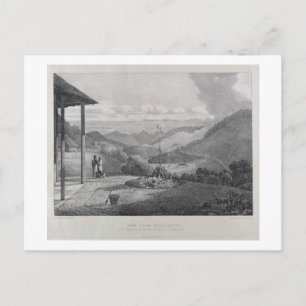 View from Kotagherry Looking Down the Plains of Co Postcard