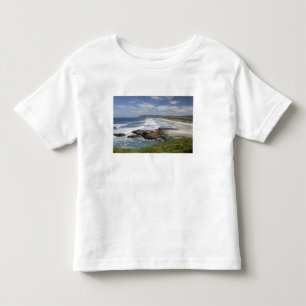View from Lawyers Head along St Kilda and St Toddler T-Shirt