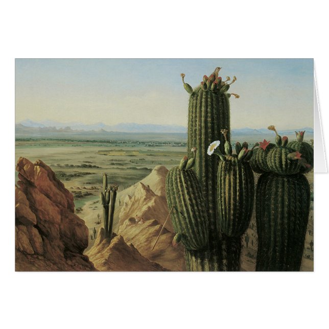 View from Maricopa Mountain Near Rio Gila by Pratt (Front Horizontal)