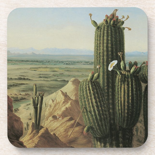 View from Maricopa Mountain Near Rio Gila by Pratt Coaster (Front)