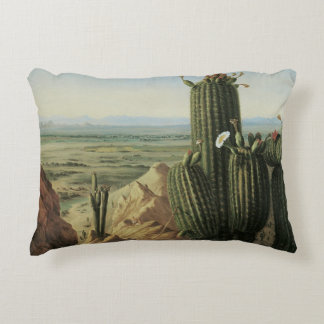 View from Maricopa Mountain Near Rio Gila by Pratt Decorative Cushion
