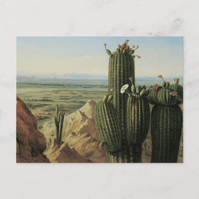View from Maricopa Mountain Near Rio Gila by Pratt Postcard (Front)