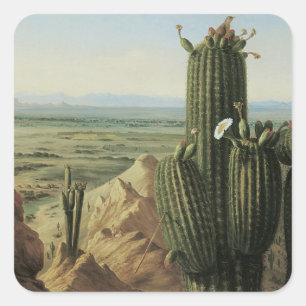 View from Maricopa Mountain Near Rio Gila by Pratt Square Sticker