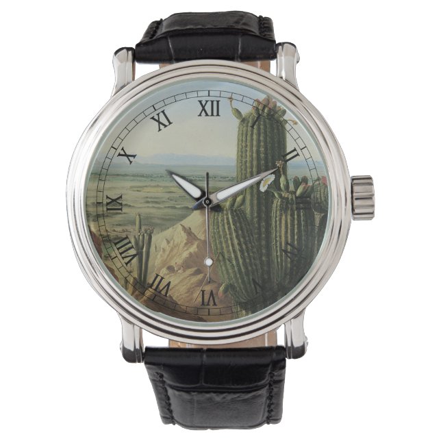 View from Maricopa Mountain Near Rio Gila by Pratt Watch (Front)