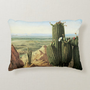View from Maricopa Mountain Near the River Gila Decorative Cushion