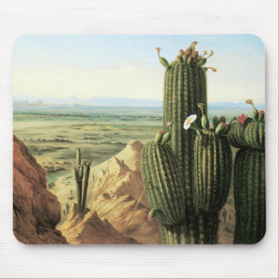 View from Maricopa Mountain near the River Gila Mouse Mat