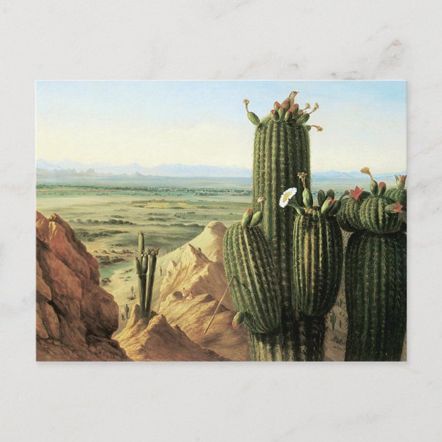 View from Maricopa Mountain Near the River Gila Postcard (Front)