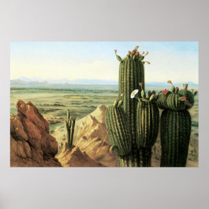 View from Maricopa Mountain Near the River Gila Poster