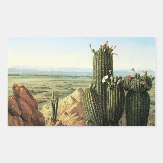 View from Maricopa Mountain near the River Gila Rectangular Sticker (Front)