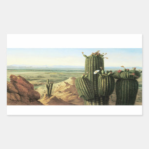 View from Maricopa Mountain Near the River Gila Rectangular Sticker