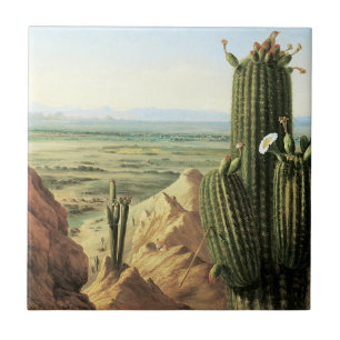 View from Maricopa Mountain near the River Gila Tile