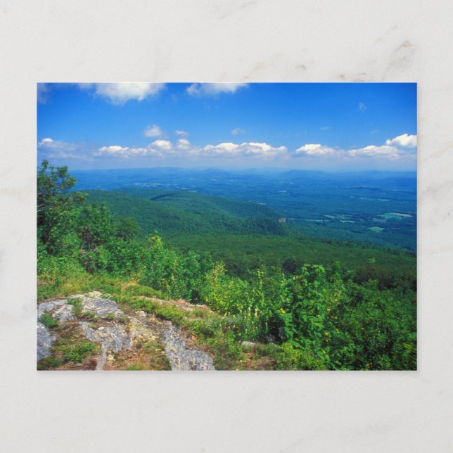 View from Mount Everett, Berkshires Postcard (Front)