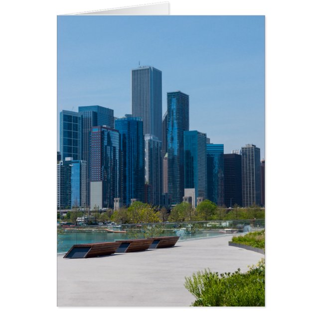 View From Navy Pier (Front)