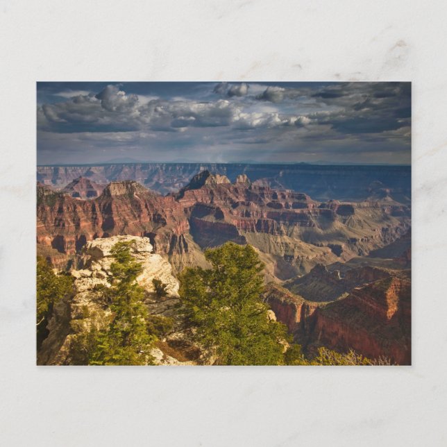 View from North Rim Visitor Centre - Grand Postcard (Front)