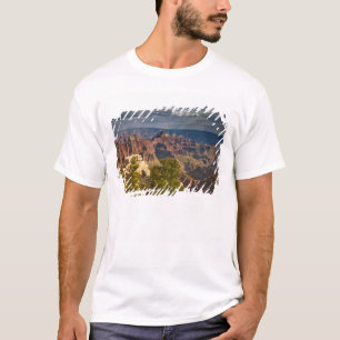 View from North Rim Visitor Centre - Grand T-Shirt