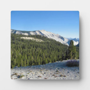 View from Olmstead Point, Yosemite, CA Plaque