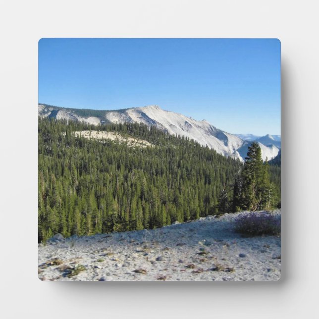 View from Olmstead Point, Yosemite, CA Plaque (Front)