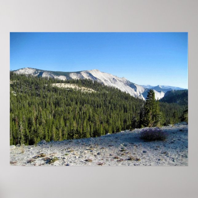 View from Olmstead Point, Yosemite, CA Poster (Front)