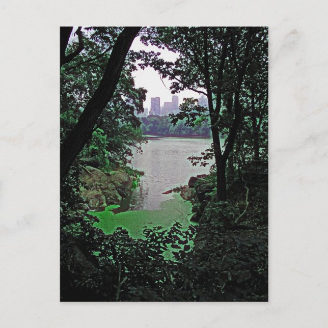View from Ramble-Central Park Colourized Postcard (Front)