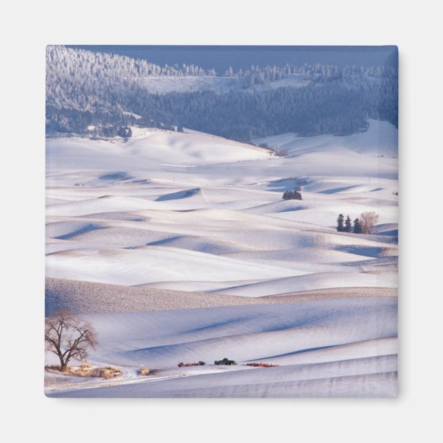 View from Steptoe Butte of rolling hills covered Magnet (Front)