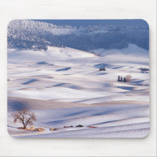 View from Steptoe Butte of rolling hills covered Mouse Mat