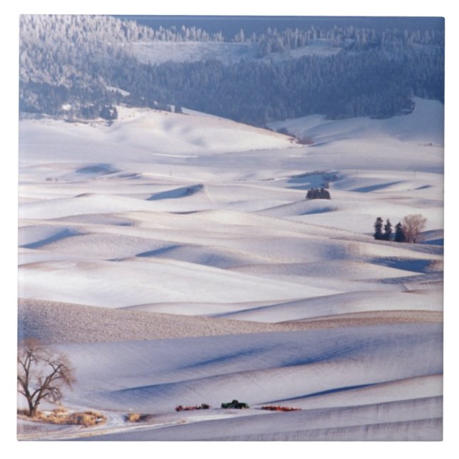 View from Steptoe Butte of rolling hills covered Tile (Front)
