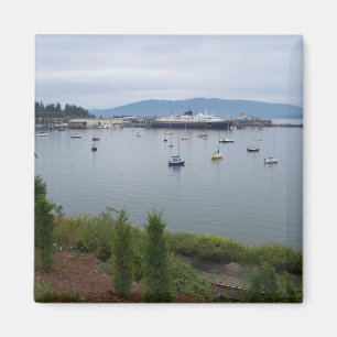 View From Taylor Street Dock Magnet