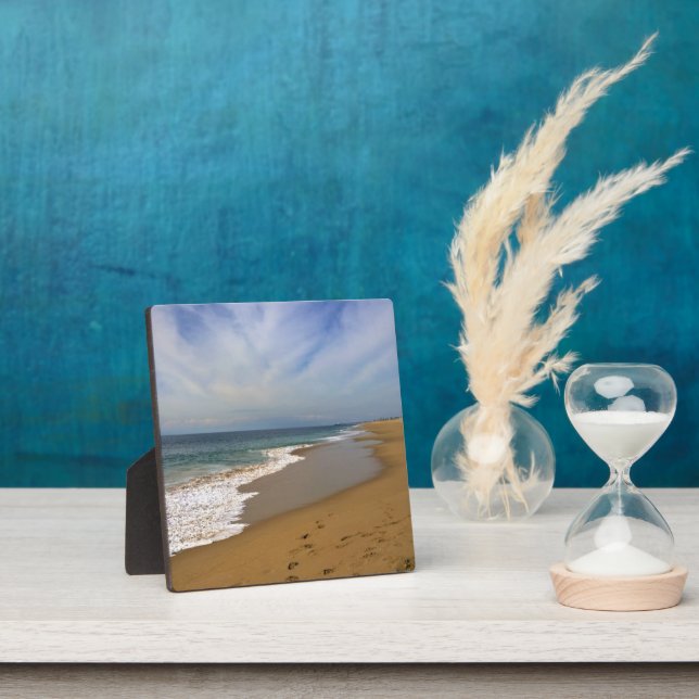 View from the Wedge, Newport Beach, California Plaque (Insitu)