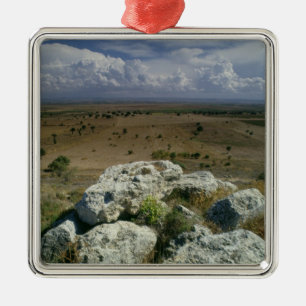 View from Troy of the surrounding landscape Metal Tree Decoration