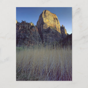 View from Virgin River flood plain, Zion Canyon Postcard