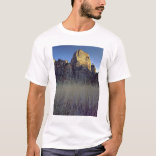 View from Virgin River flood plain, Zion Canyon T-Shirt