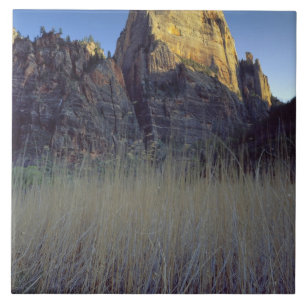 View from Virgin River flood plain, Zion Canyon Tile