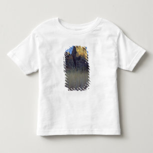 View from Virgin River flood plain, Zion Canyon Toddler T-Shirt