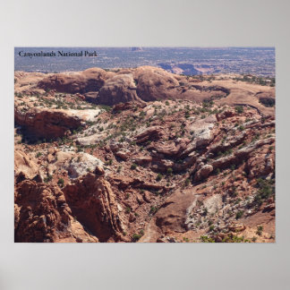 View in Canyonlands National Park Poster