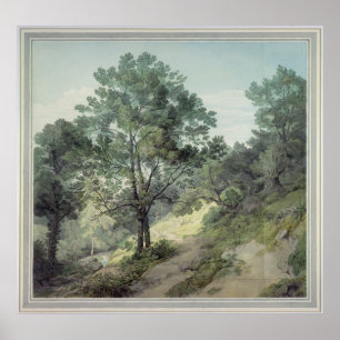 View near Cantonteign, Devon Poster