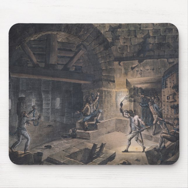 View of a cell in the Bastille Mouse Mat (Front)