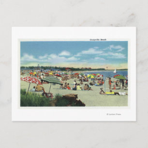 View of a Crowded Craigville Beach Postcard
