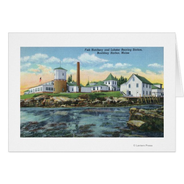 View of a Fish Hatchery, Lobster Rearing (Front Horizontal)