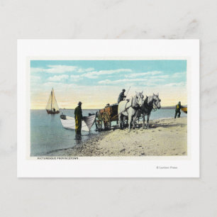 View of a Horse Cart Pulling in a Boat Postcard