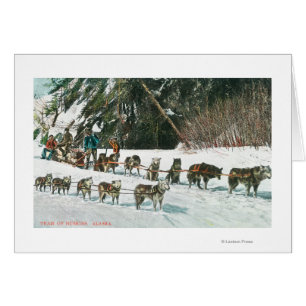 View of a Husky Dog-Sled Team