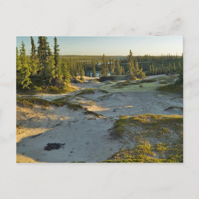 View of a lake and the surrounding sand hills, postcard (Front)