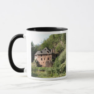 View of a manor house (photo) mug
