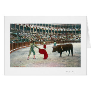 View of a Matador About to Slay the BullSpain